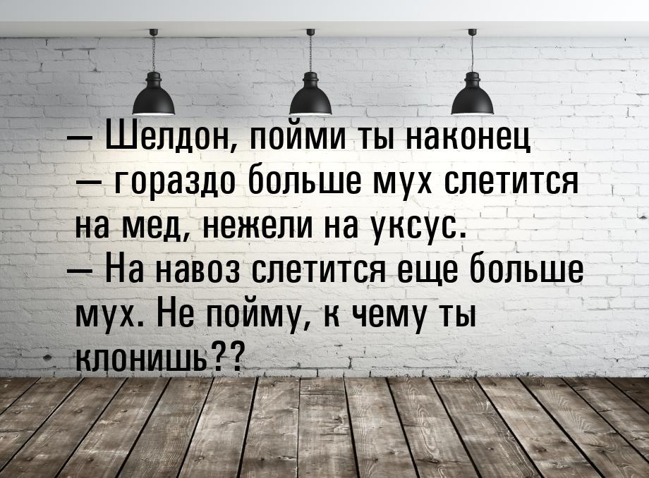  Шелдон, пойми ты наконец  гораздо больше мух слетится на мед, нежели на укс