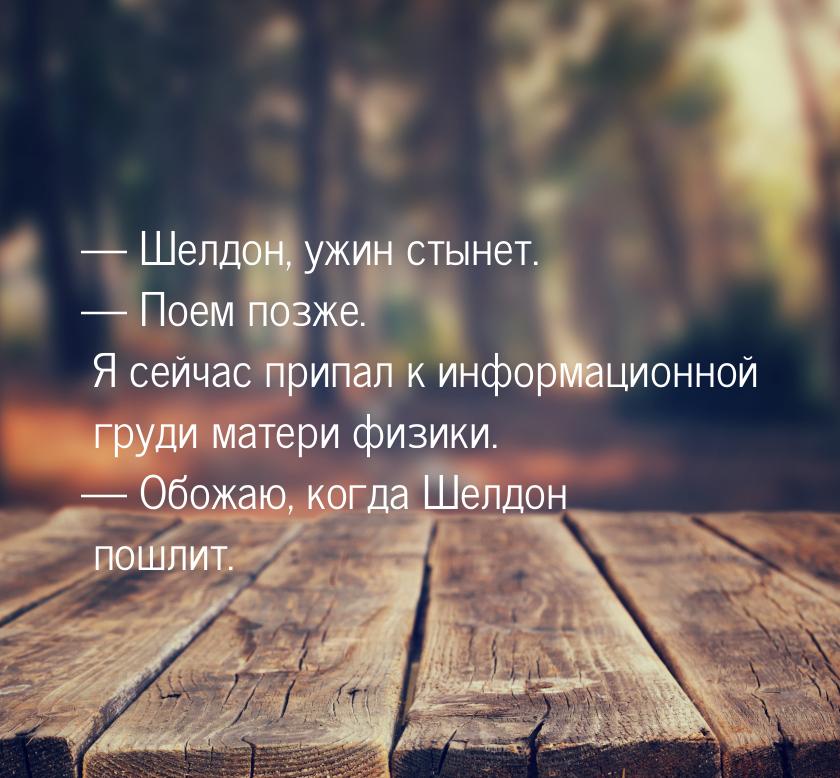  Шелдон, ужин стынет.  Поем позже. Я сейчас припал к информационной груди ма