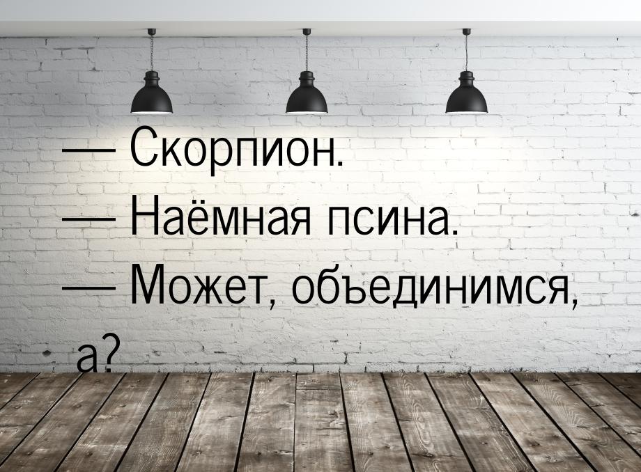  Скорпион.  Наёмная псина.  Может, объединимся, а?