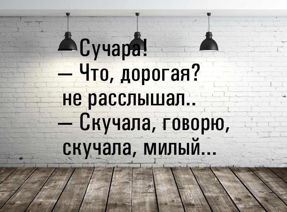  Сучара!  Что, дорогая? не расслышал..  Скучала, говорю, скучала, мил