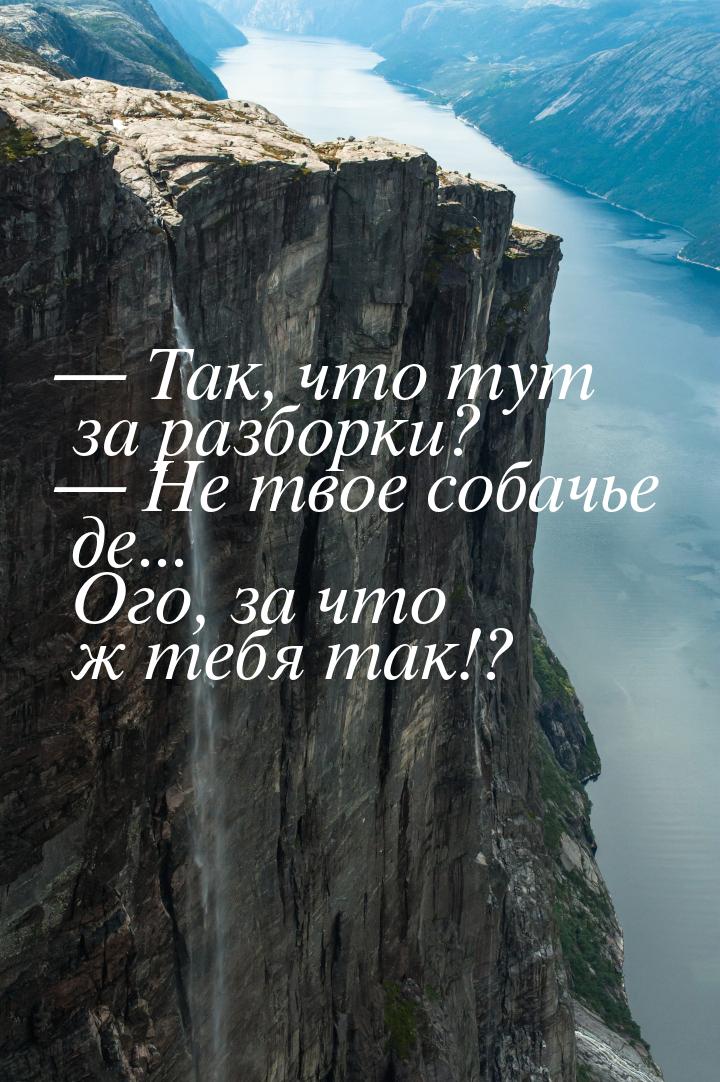  Так, что тут за разборки?  Не твое собачье де... Ого, за что ж тебя так!?