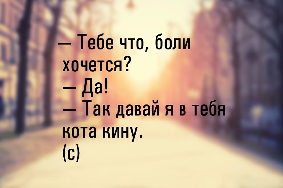  Тебе что, боли хочется?   Да!   Так давай я в тебя кота кину. (с)