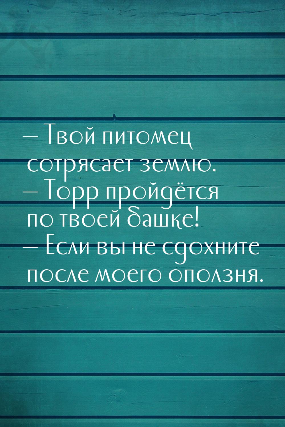  Твой питомец сотрясает землю.  Торр пройдётся по твоей башке!  Если 