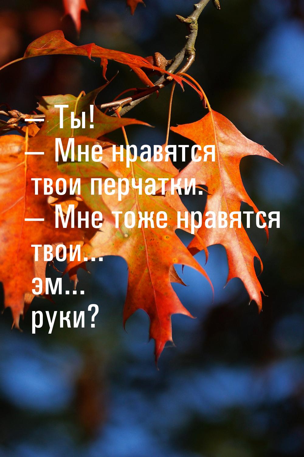  Ты!  Мне нравятся твои перчатки.  Мне тоже нравятся твои... эм... ру