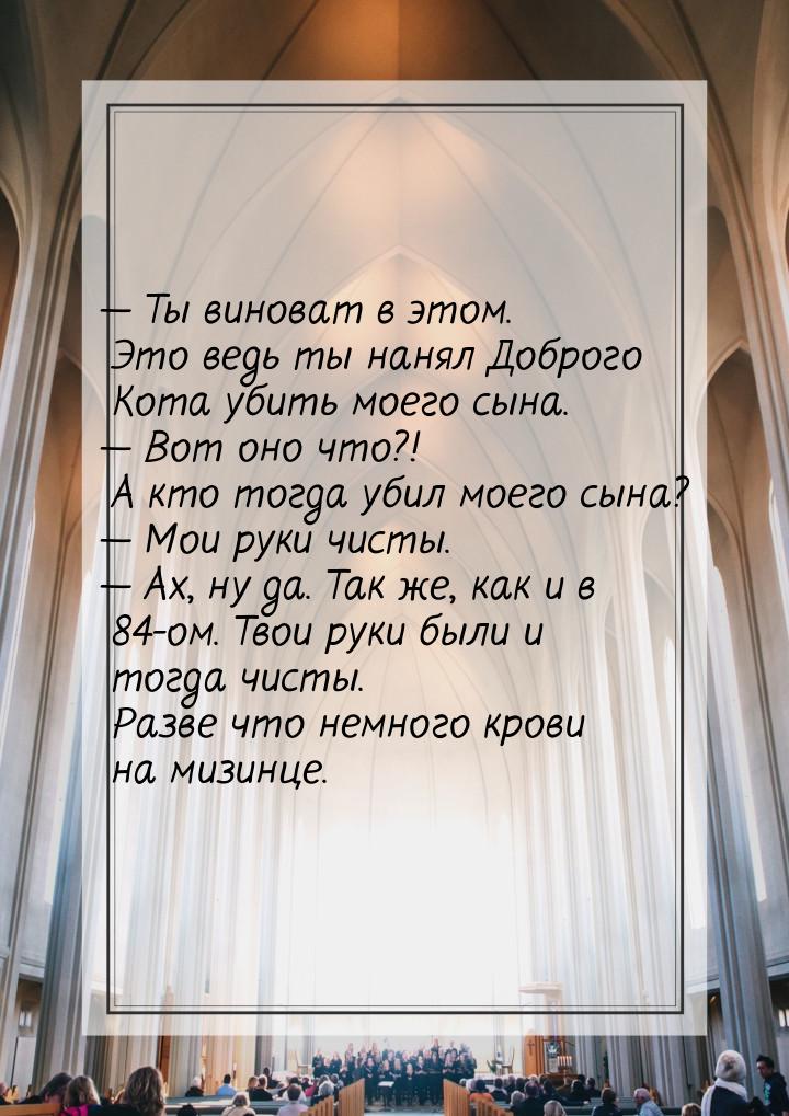  Ты виноват в этом. Это ведь ты нанял Доброго Кота убить моего сына.  Вот он