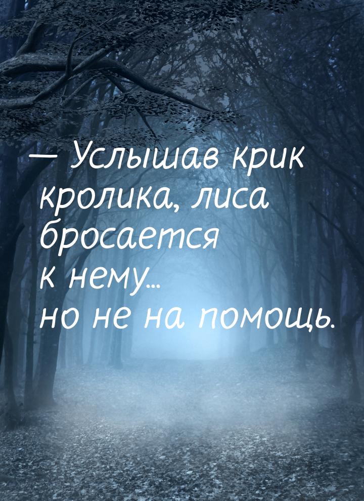  Услышав крик кролика, лиса бросается к нему... но не на помощь.