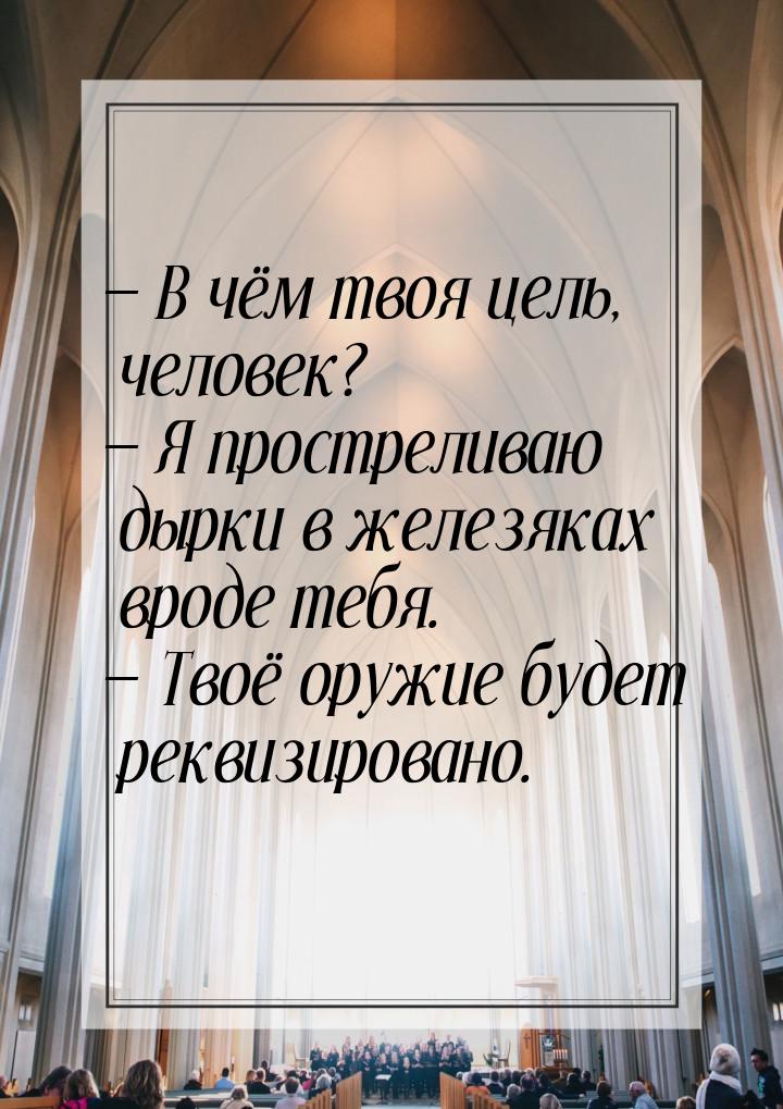  В чём твоя цель, человек?  Я простреливаю дырки в железяках вроде тебя. &md