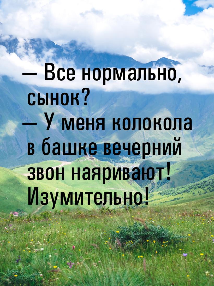  Все нормально, сынок?  У меня колокола в башке вечерний звон наяривают! Изу