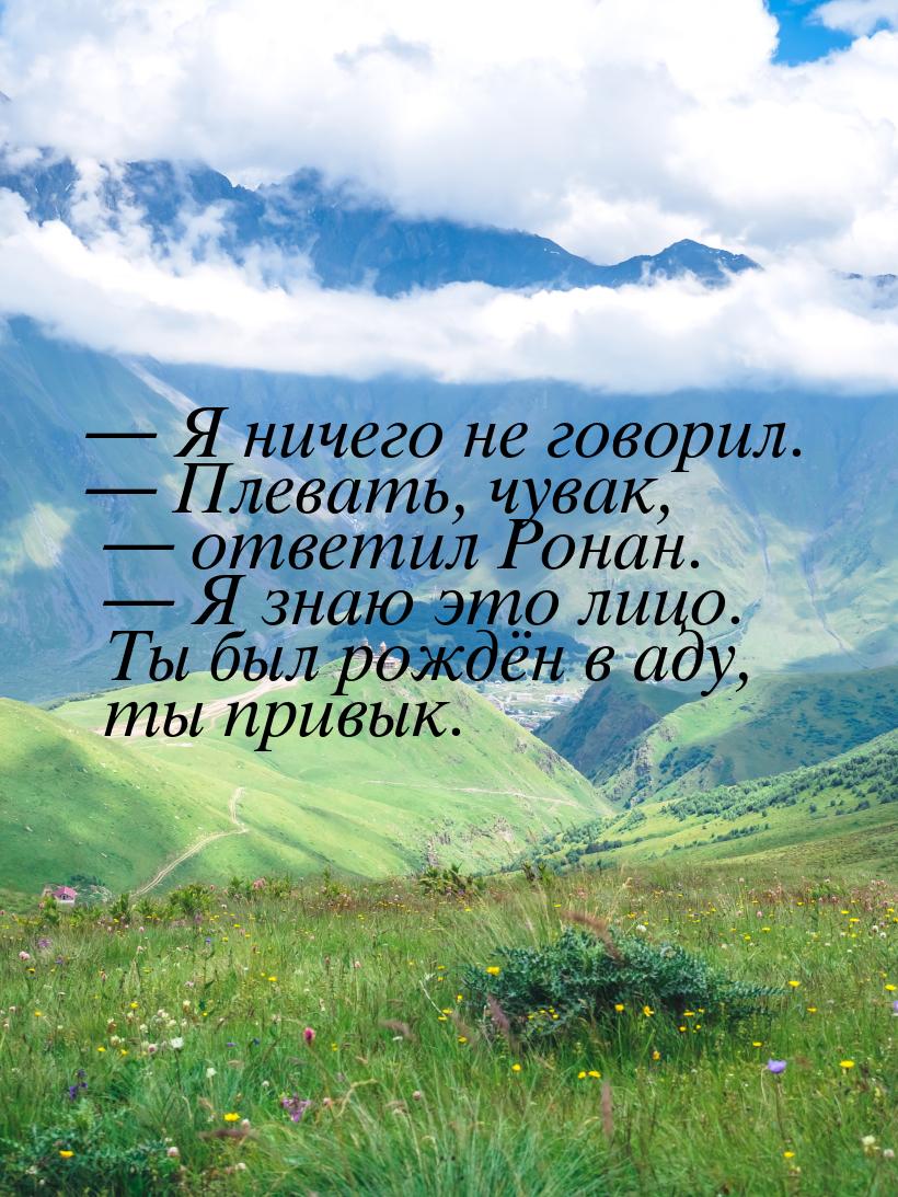  Я ничего не говорил.  Плевать, чувак,  ответил Ронан.  Я знаю