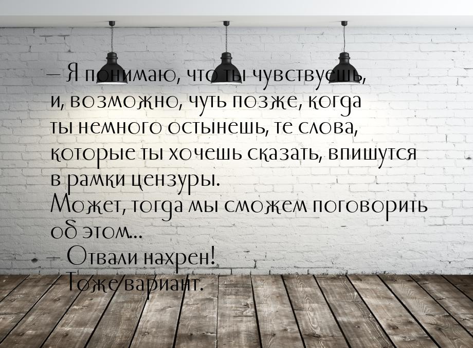  Я понимаю, что ты чувствуешь, и, возможно, чуть позже, когда ты немного остынешь, 