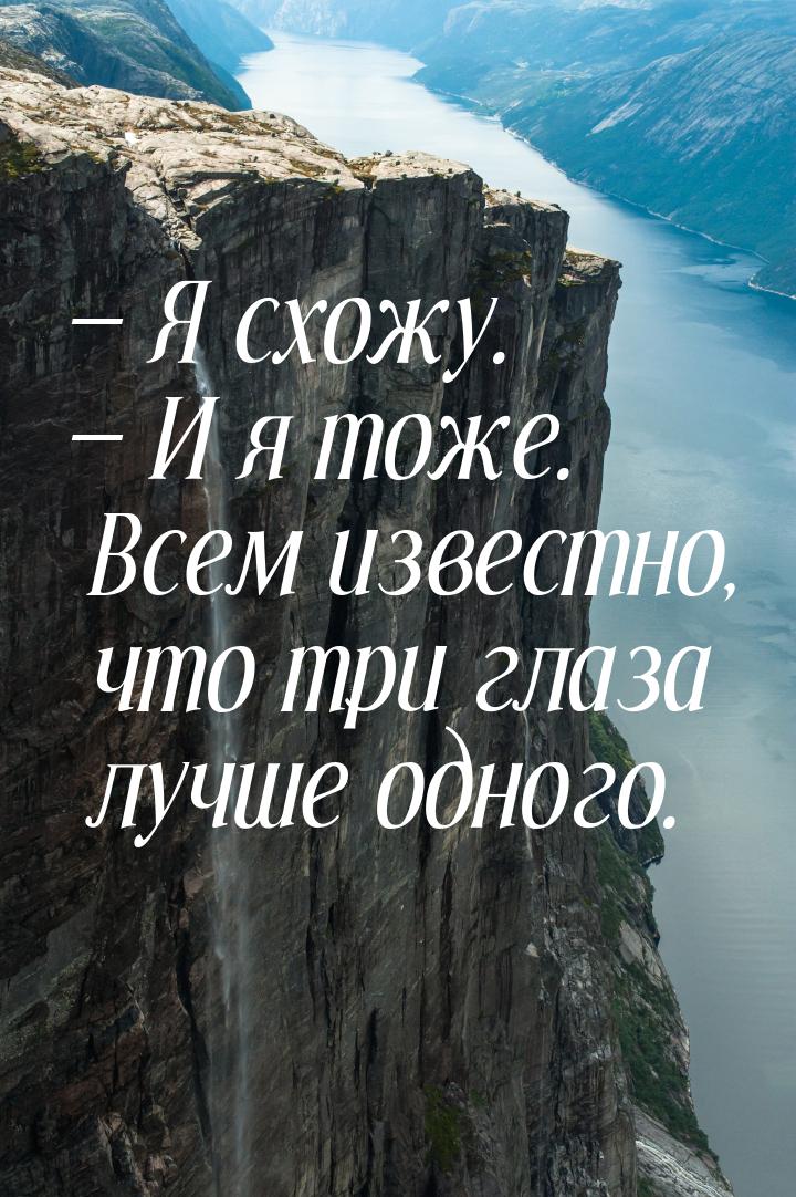  Я схожу.  И я тоже. Всем известно, что три глаза лучше одного.