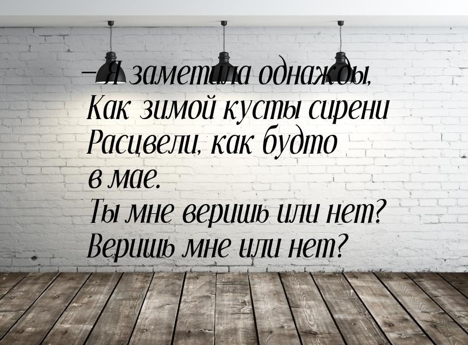  Я заметила однажды,  Как зимой кусты сирени  Расцвели, как будто в мае.  Ты мне ве