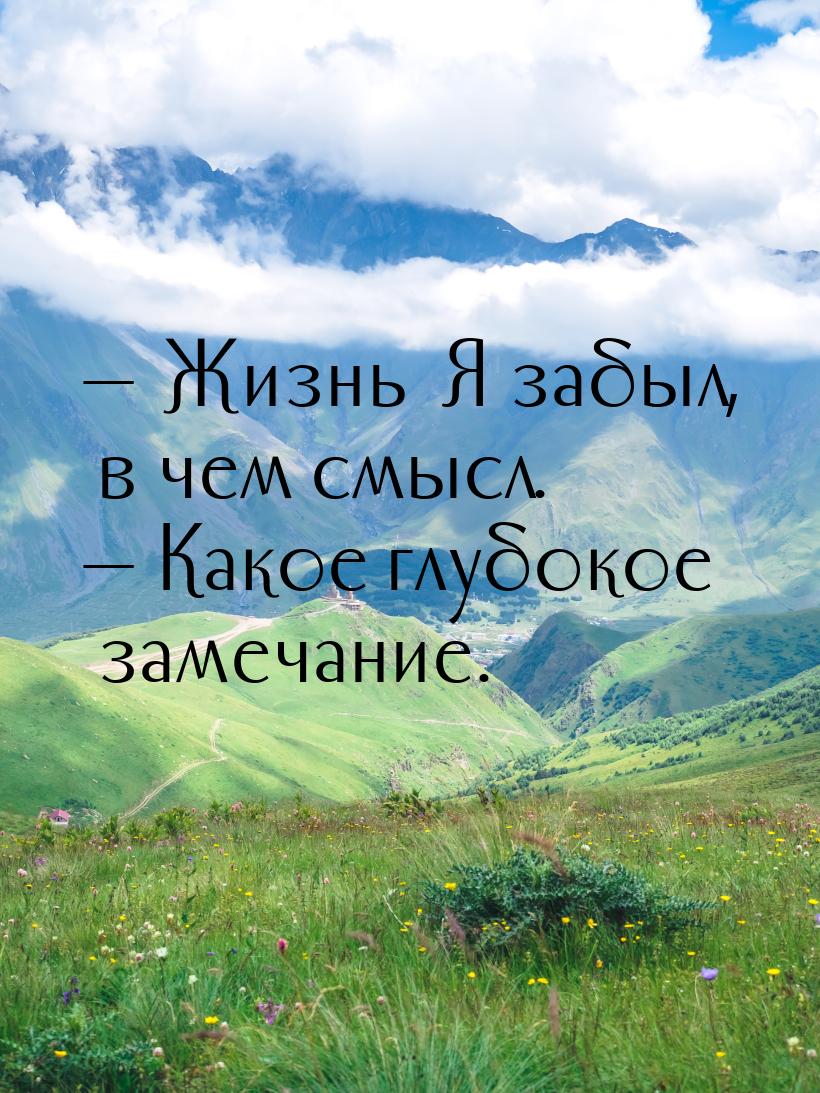  Жизнь… Я забыл, в чем смысл.  Какое глубокое замечание.