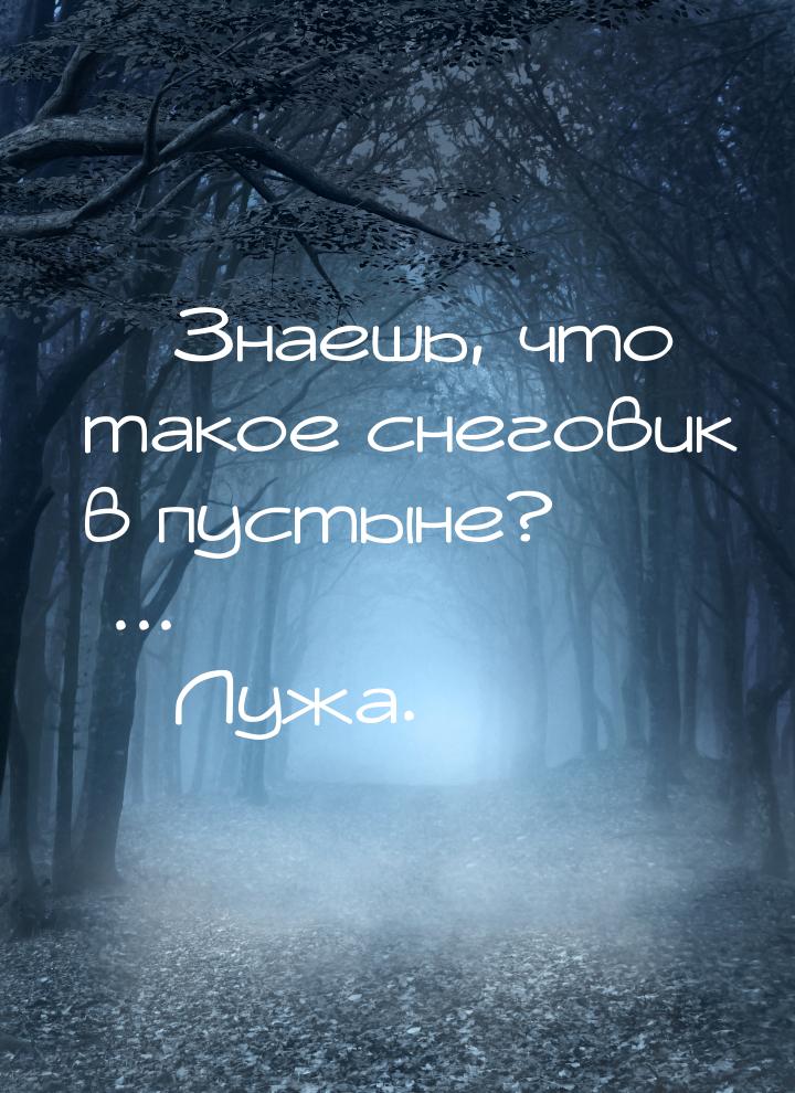  Знаешь, что такое снеговик в пустыне? ...  Лужа.