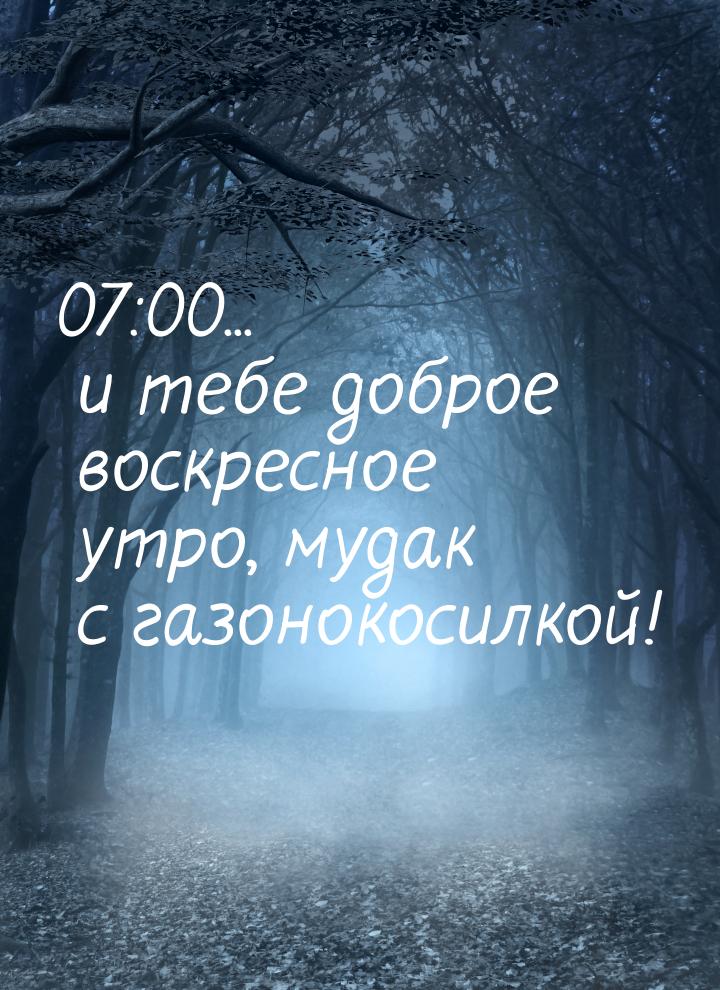 07:00... и тебе доброе воскресное утро, мудак с газонокосилкой!