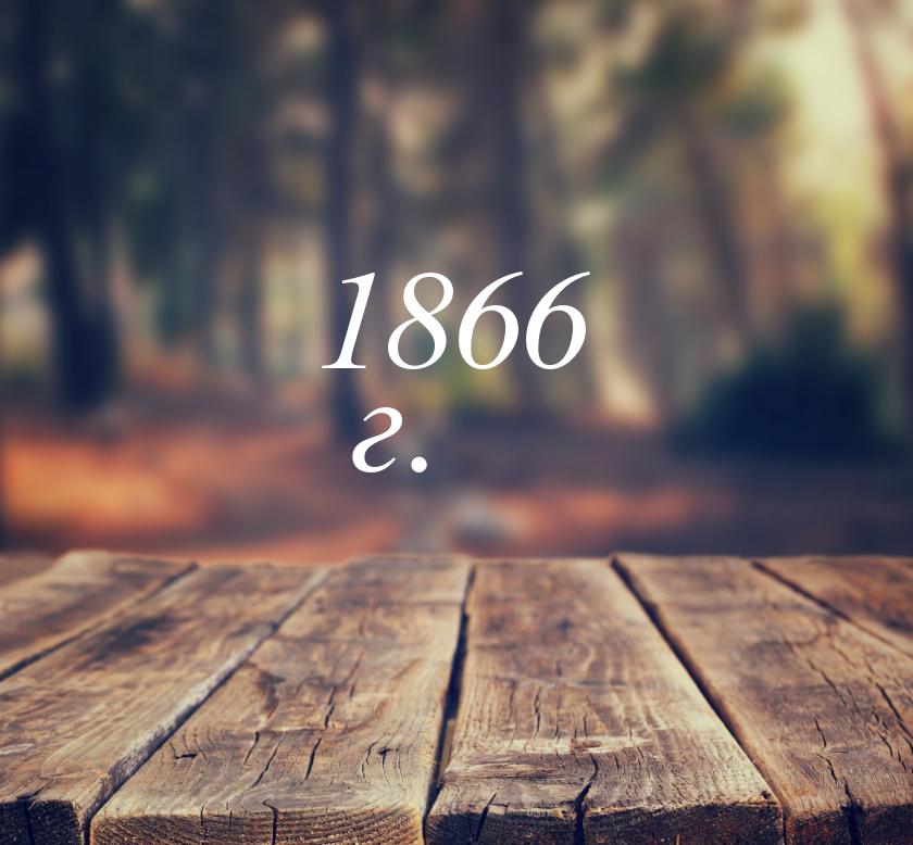 1866 г.