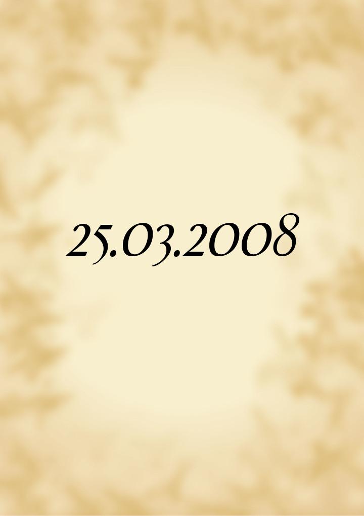 25.03.2008