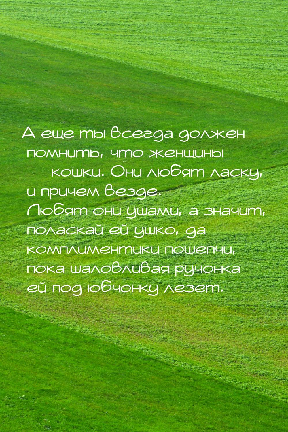 А еще ты всегда должен помнить, что женщины — кошки. Они любят ласку, и причем везде. Любя