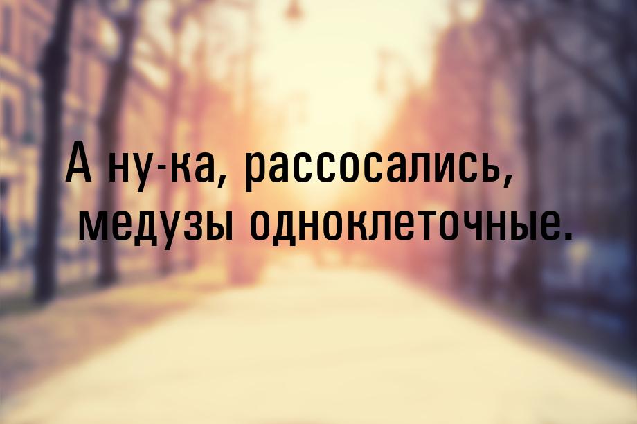 А ну-ка, рассосались, медузы одноклеточные.