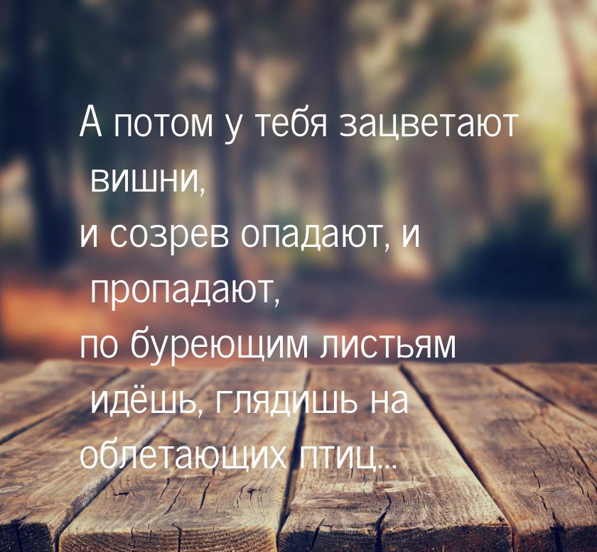 А потом у тебя зацветают вишни, и созрев опадают, и пропадают, по буреющим листьям идёшь, 