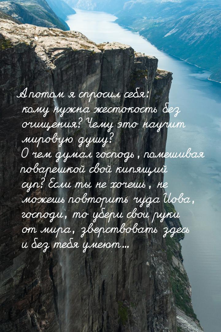 А потом я спросил себя: кому нужна жестокость без очищения? Чему это научит мировую душу? 