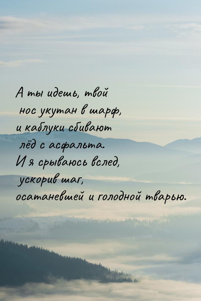 А ты идешь, твой нос укутан в шарф, и каблуки сбивают лёд с асфальта. И я срываюсь вслед, 