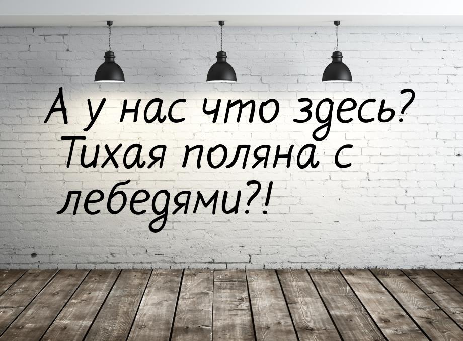 А у нас что здесь? Тихая поляна с лебедями?!