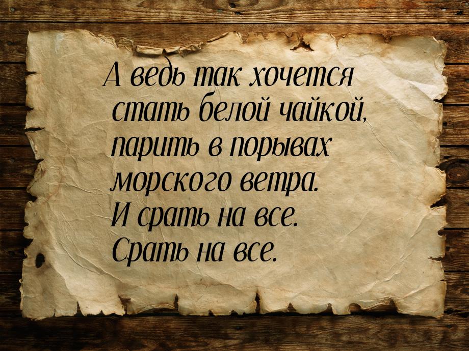 А ведь так хочется стать белой чайкой, парить в порывах морского ветра. И срать на все. Ср