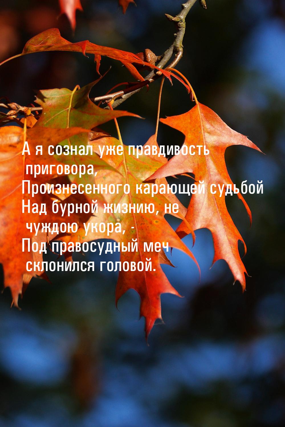 А я сознал уже правдивость приговора, Произнесенного карающей судьбой Над бурной жизнию, н