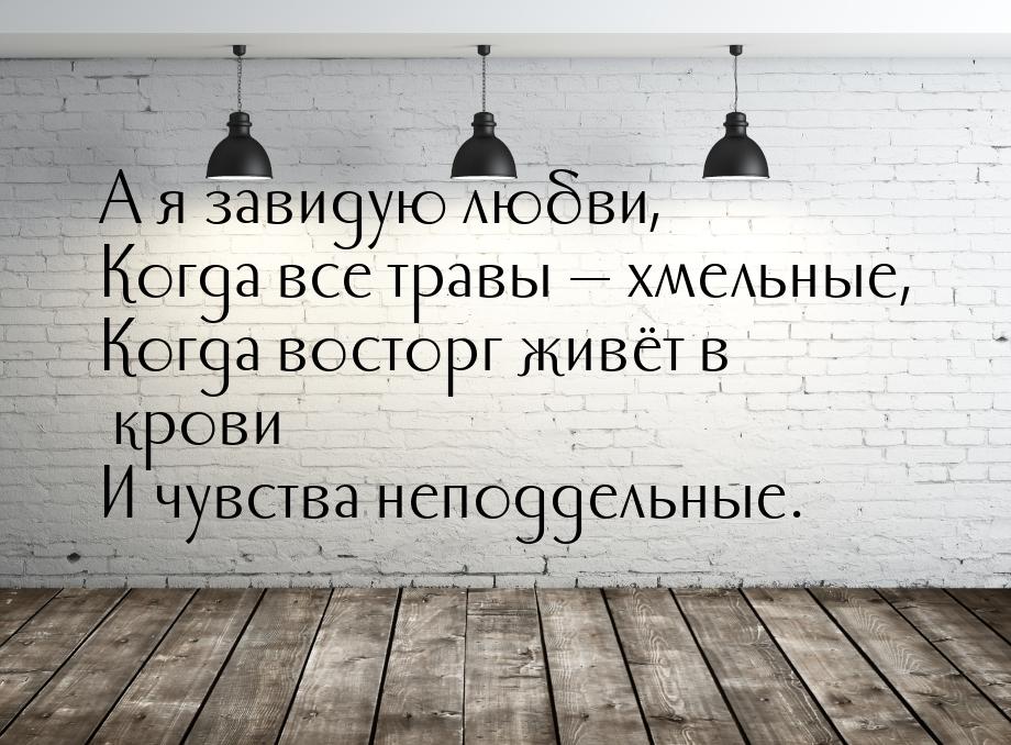 А я завидую любви, Когда все травы  хмельные, Когда восторг живёт в крови И чувства