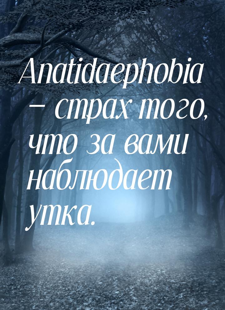 Anatidaephobia — страх того, что за вами наблюдает утка.