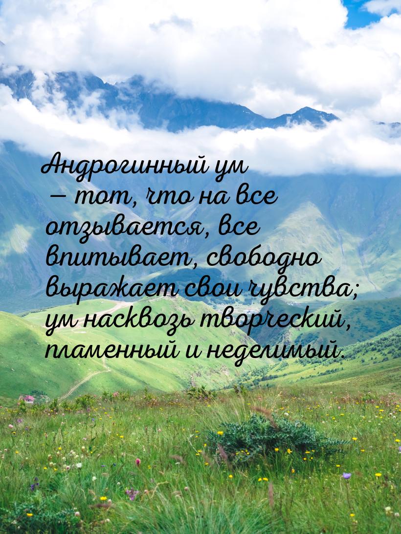 Андрогинный ум — тот, что на все отзывается, все впитывает, свободно выражает свои чувства