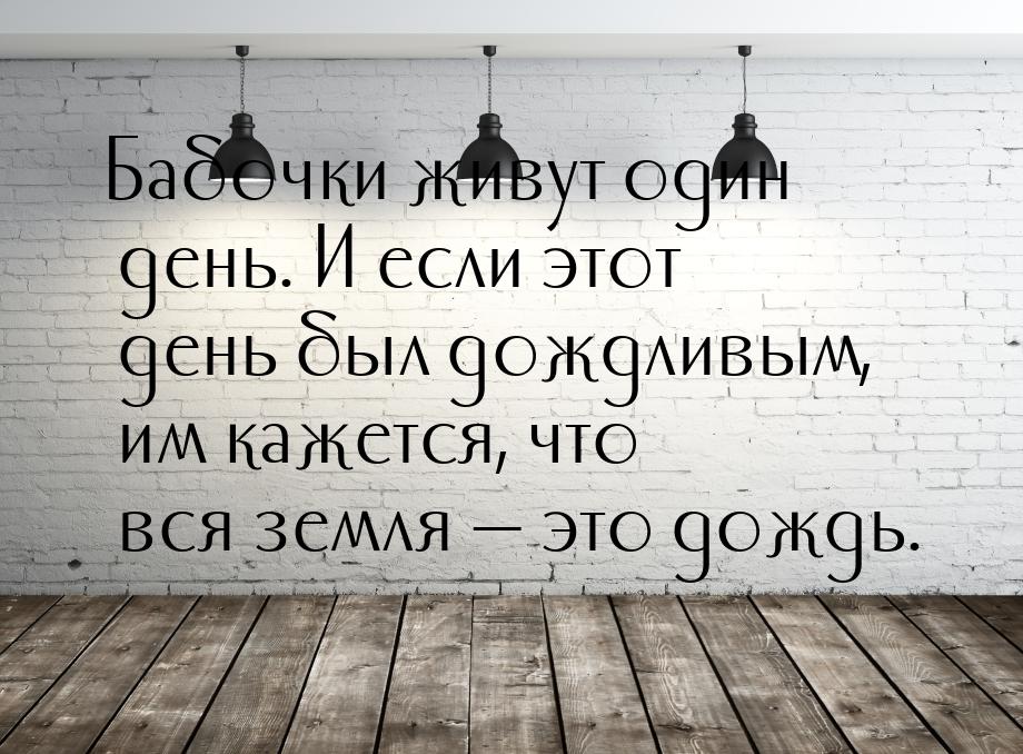 Бабочки живут один день. И если этот день был дождливым, им кажется, что вся земля 