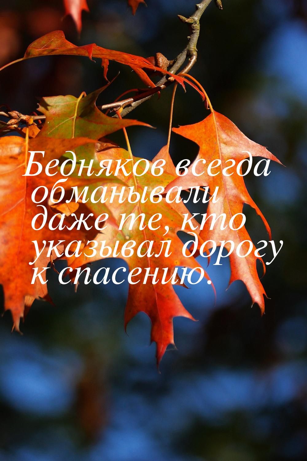 Бедняков всегда обманывали даже те, кто указывал дорогу к спасению.