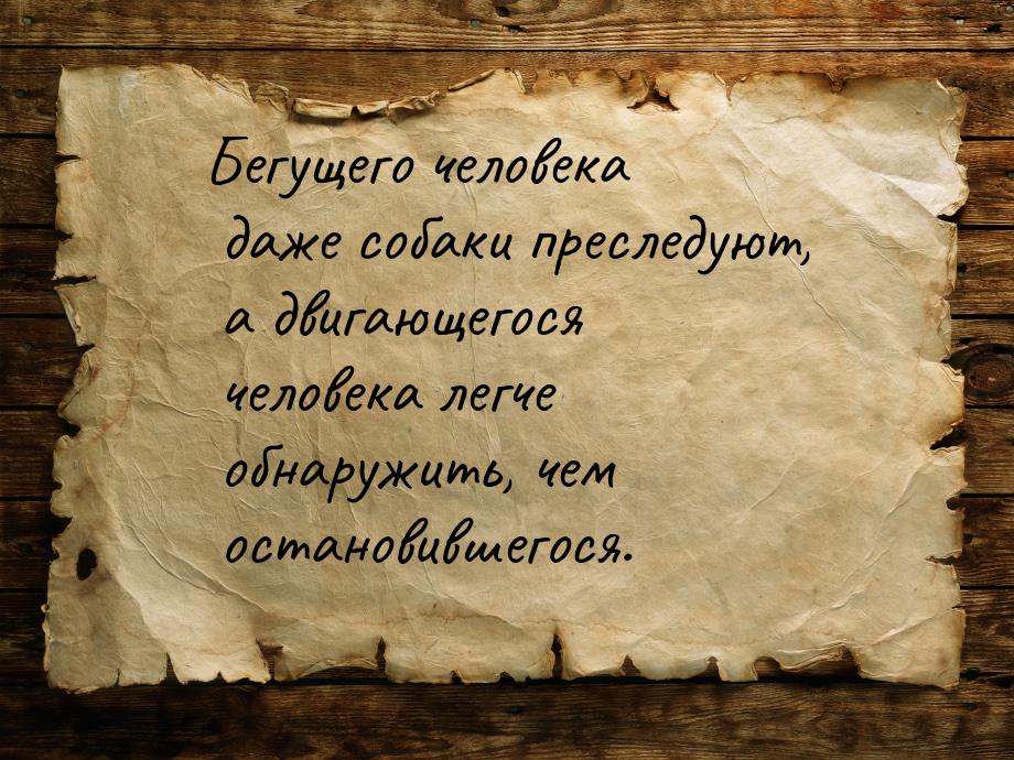 Бегущего человека даже собаки преследуют, а двигающегося человека легче обнаружить, чем ос