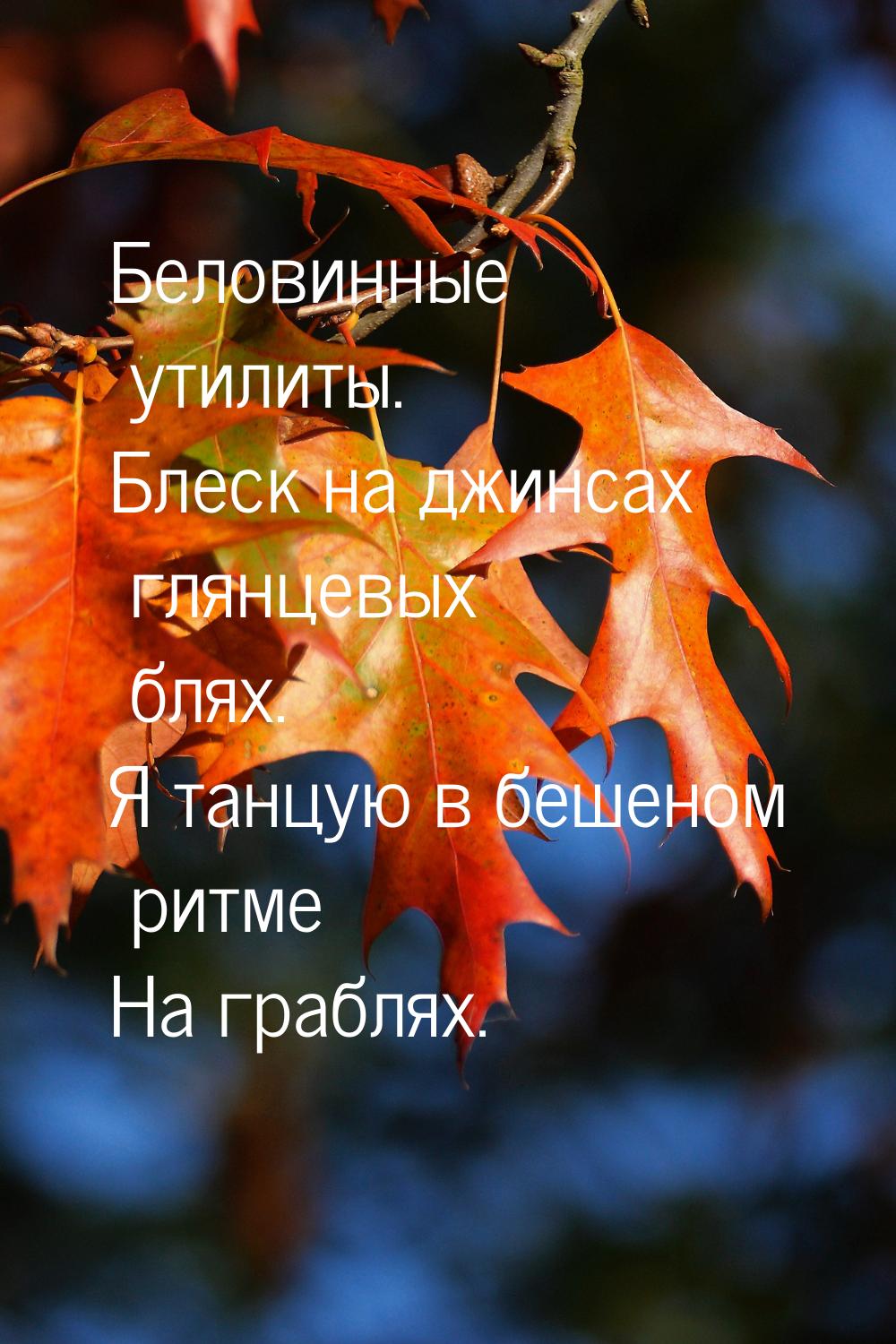 Беловинные утилиты. Блеск на джинсах глянцевых блях. Я танцую в бешеном ритме На граблях.