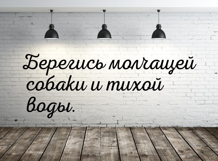 Берегись молчащей собаки и тихой воды.