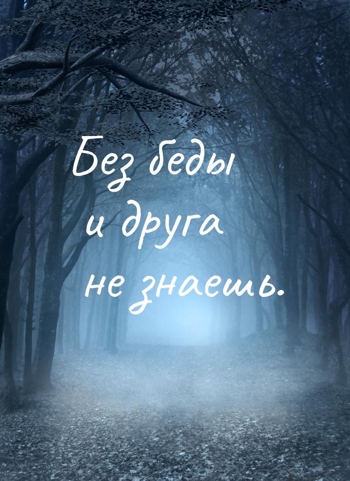 Без беды и друга не знаешь.