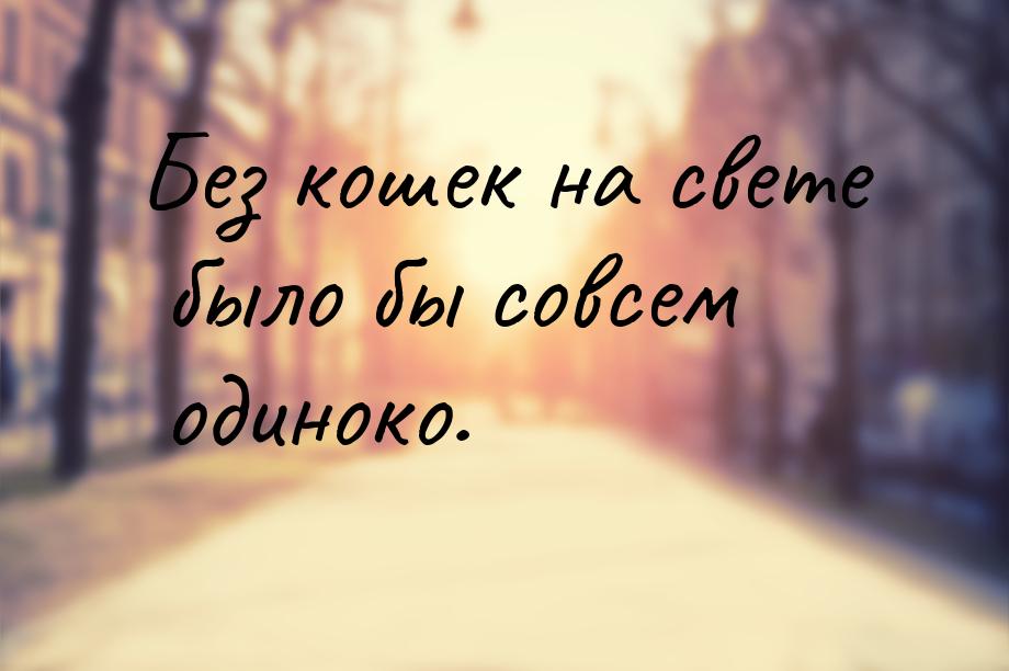 Без кошек на свете было бы совсем одиноко.