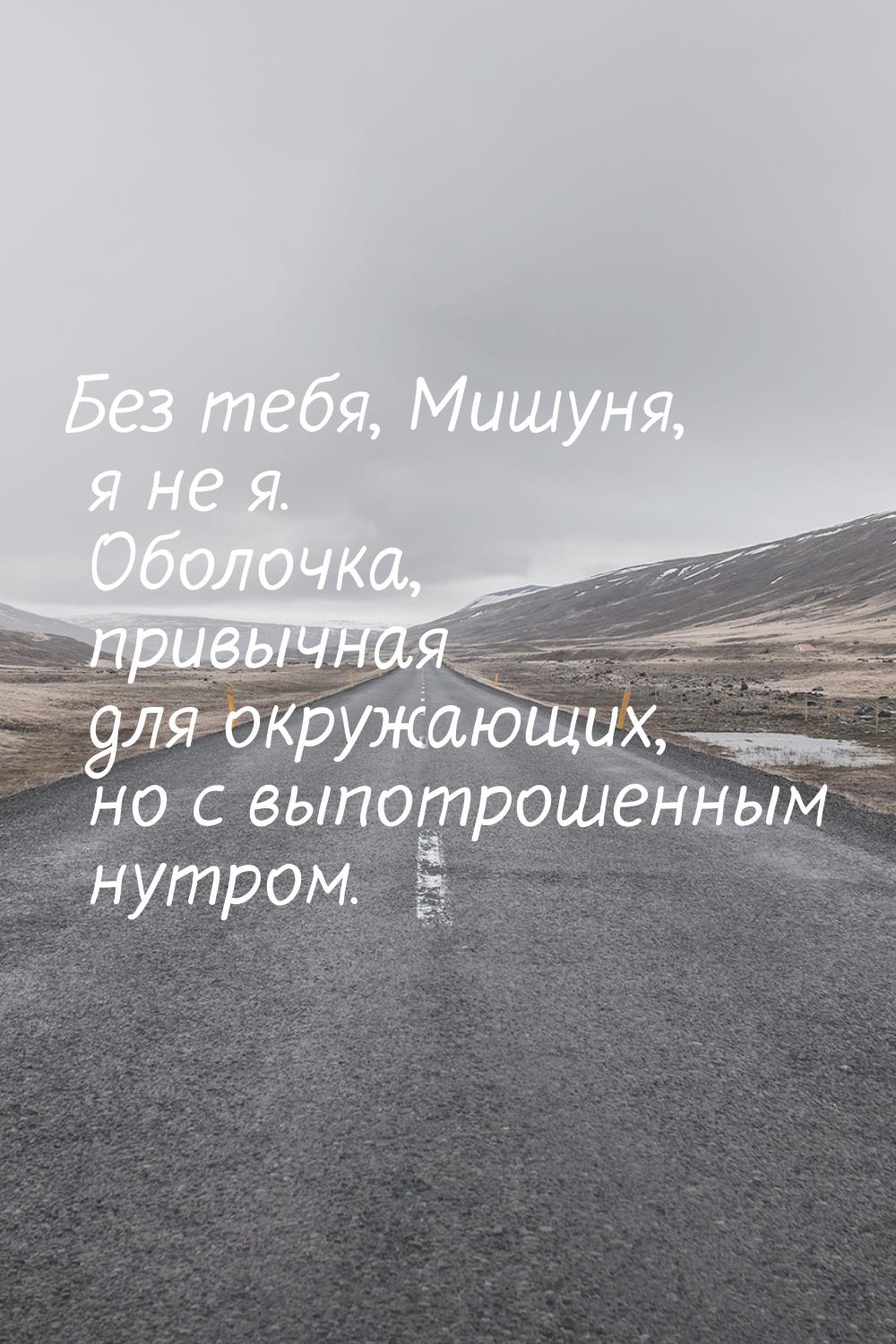 Без тебя, Мишуня, я не я. Оболочка, привычная для окружающих, но с выпотрошенным нутром.