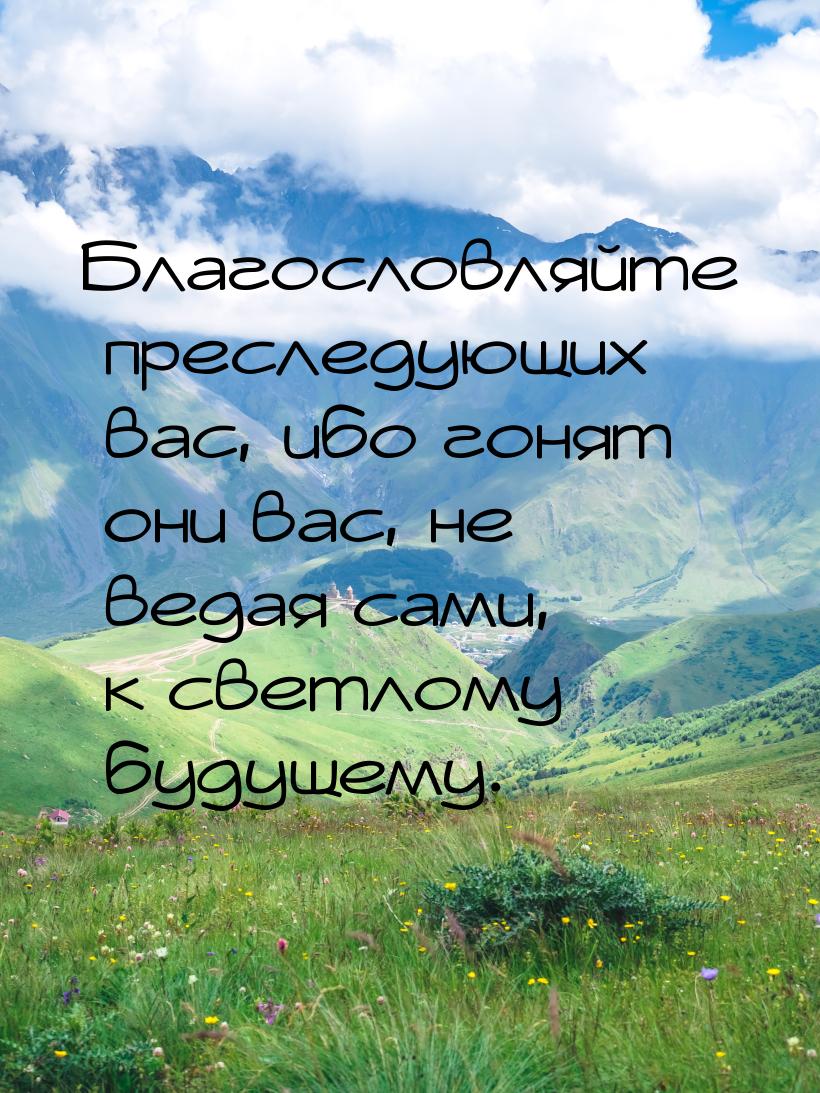 Благословляйте преследующих вас, ибо гонят они вас, не ведая сами, к светлому будущему.