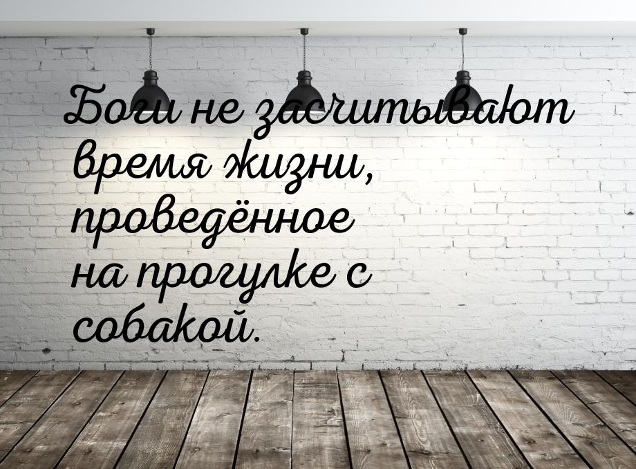 Боги не засчитывают время жизни, проведённое на прогулке с собакой.