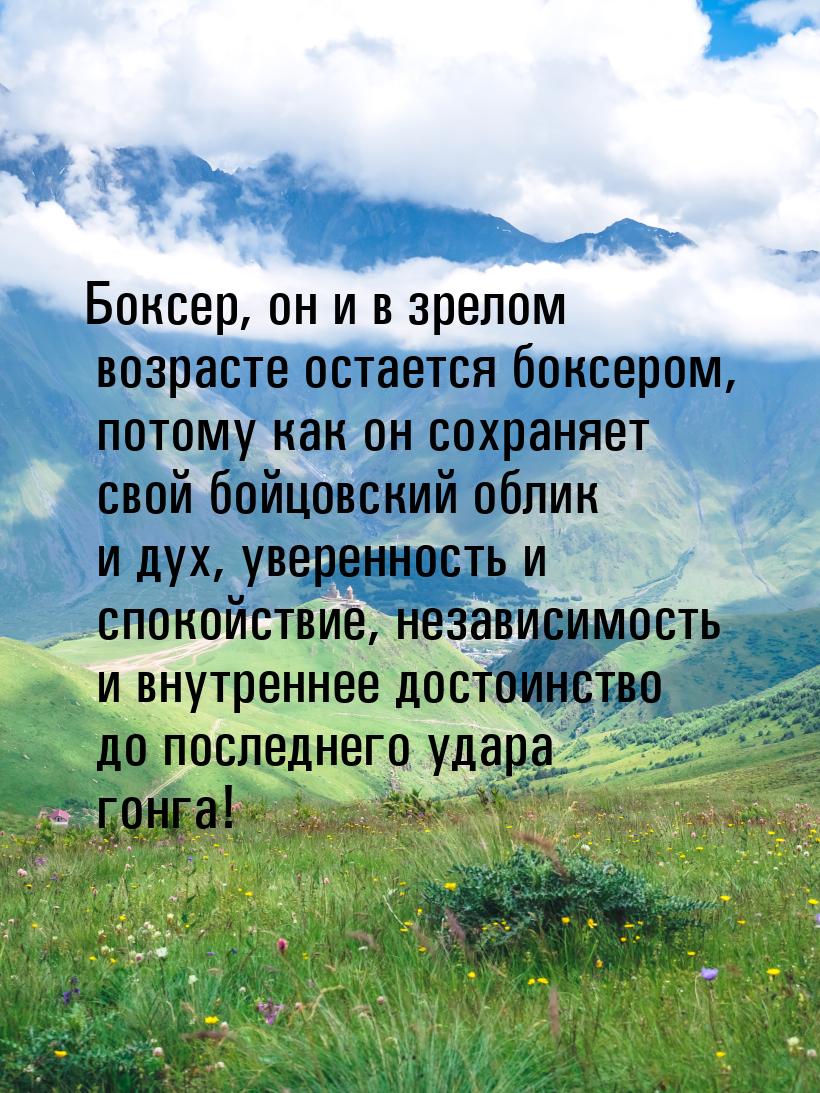 Боксер, он и в зрелом возрасте остается боксером, потому как он сохраняет свой бойцовский 