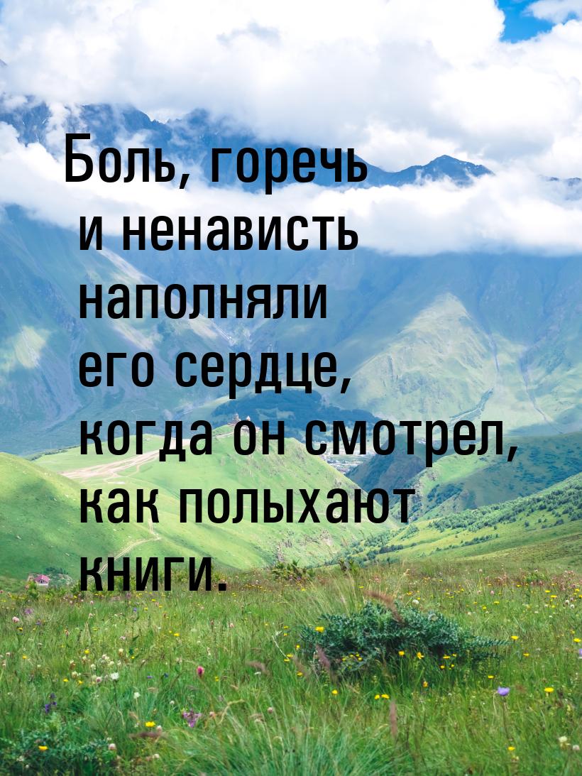 Боль, горечь и ненависть наполняли его сердце, когда он смотрел, как полыхают книги.