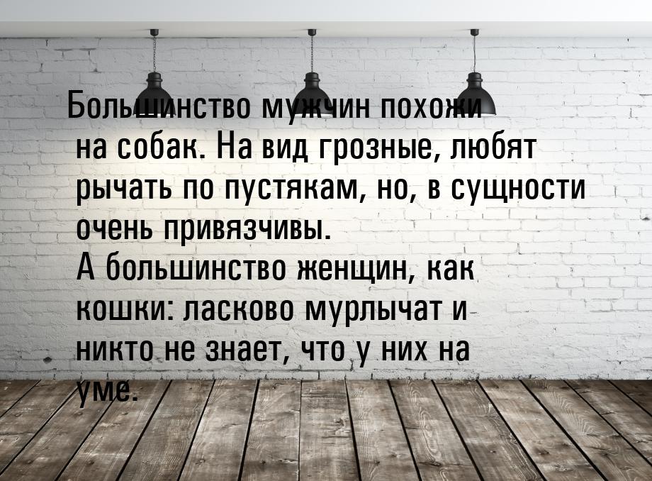 Большинство мужчин похожи на собак. На вид грозные, любят рычать по пустякам, но, в сущнос