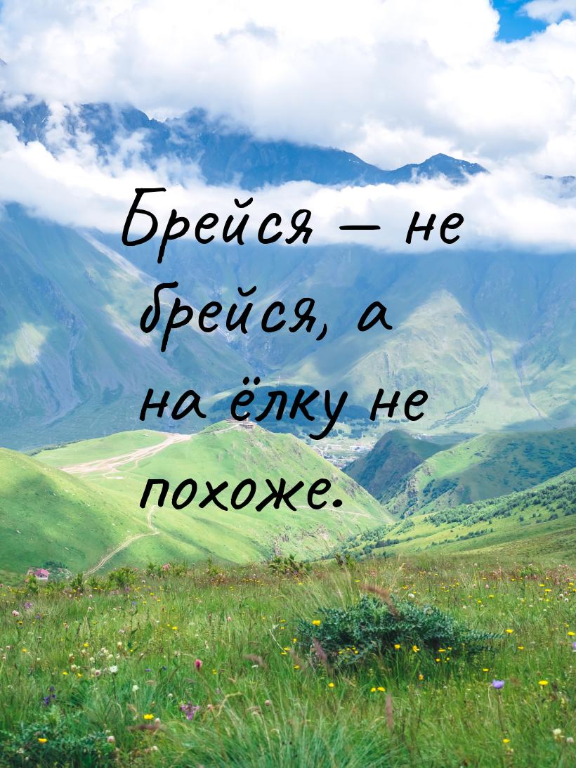 Брейся — не брейся, а на ёлку не похоже.