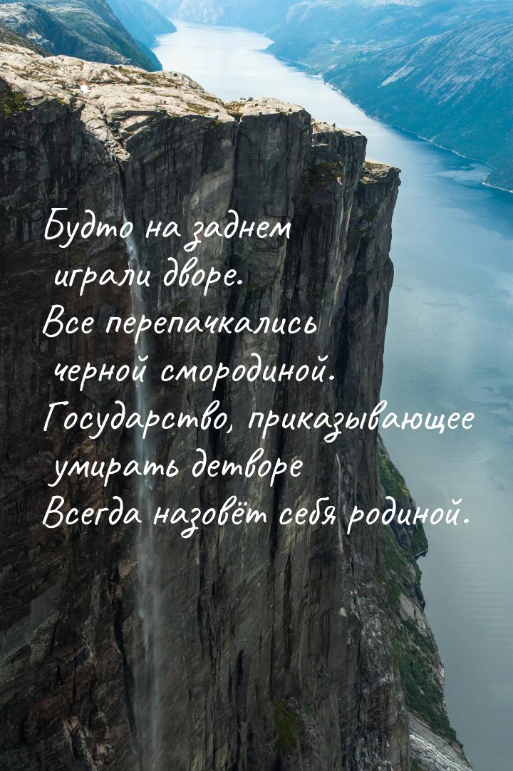 Будто на заднем играли дворе. Все перепачкались черной смородиной. Государство, приказываю