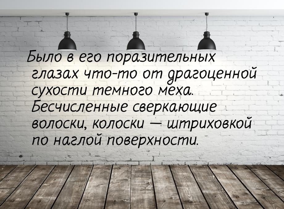 Было в его поразительных глазах что-то от драгоценной сухости темного меха. Бесчисленные с