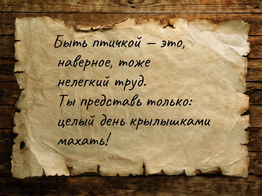 Быть птичкой  это, наверное, тоже нелегкий труд. Ты представь только: целый день кр