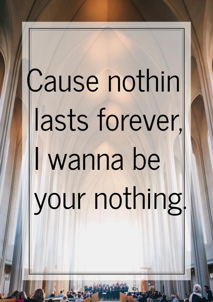 Cause nothin lasts forever, I wanna be your nothing.